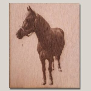 Personalised wooden horse portrait
